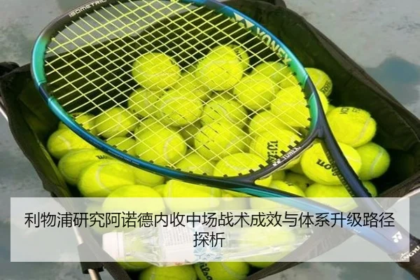 li-wu-pu-yan-jiu-a-nuo-de-nei-shou-zhong-chang-zhan-shu-cheng-xiao-yu-ti-xi-sheng-ji-lu-jing-tan-xi-2-372.jpg